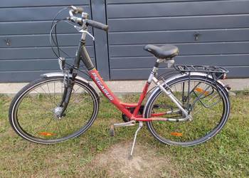 Rower aluminiowy Pegasus  7 biegów NEXUS