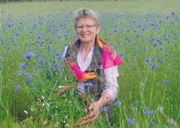 Budować zdrowie - Korżawska Stefania Budować zdrowie - Korżawska Stefania