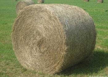 Sprzedam