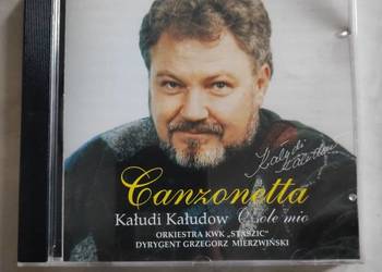 Wieczór muzyczny  śląskie płyty Kałudi Kałudow płyta cd unikat