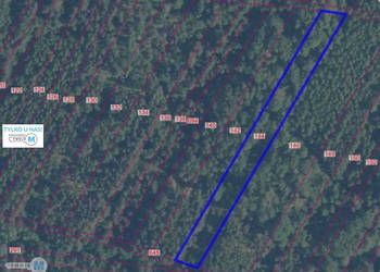 Działka 7578m2 Pierzchnica