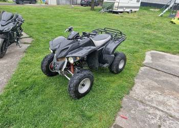 Quad Adly 220