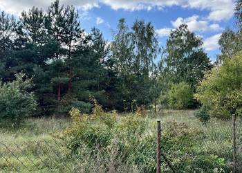 Działka budowlana 1233m2 Sabnie 10 min do Sokołowa