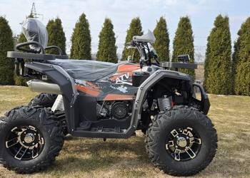 Quad 250cc,automat.