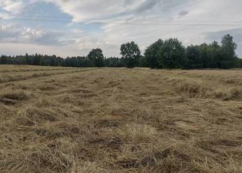 Siano w kostkach