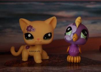LPS Littlest Pet Shop shorthair #1962 oryginalny Nintendo #1961 kakadu