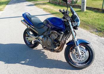 Honda hornet