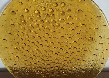 Patera, talerz Drozd Ząbkowice 29 cm