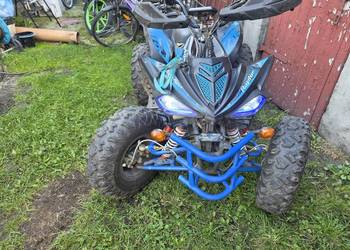 Quad raptor 250 manual lc