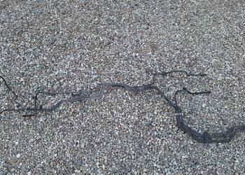 Lexus RX 400h przewody hamulcowe komplet RX 400h 2007r 174 tys km na części