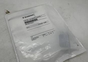 Schmersal 101184379 BNS 260-11Z-ST-L Safety switch