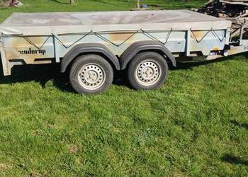 przyczepa DMC 2000 kg Thule Branderup