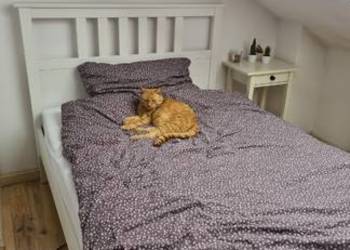 Łóżko Ikea Hemnes 120/200 w komplecie z materacem Ikea.