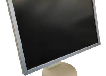 Profesionalny Monitor LCD NEC EA221WM 22 z głośnikami