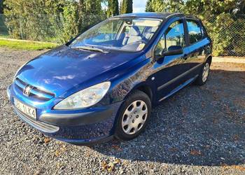 Peugeot 307 1.6 benzyna
