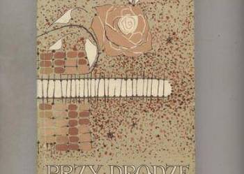 Przy drodze -Herman Bang