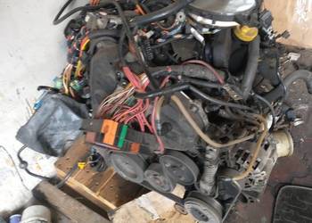 Scenic silnik 1,9 dCi