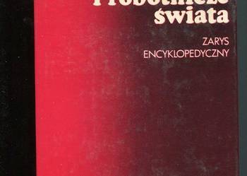 Partie komunistyczne i robotnicze świata Zarys encyklop