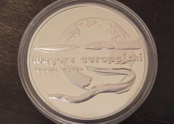 20 zł 2003 Węgorz Europejski