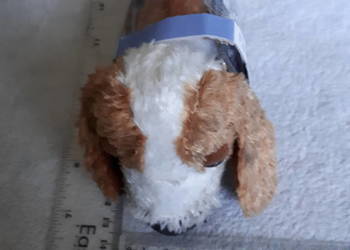 THE DOG Artist Collection pluszak