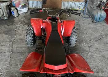 Sprzedam Bashan 250