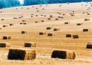 słoma w  kostkach zamówienia /rezerwacja na sezon 2026