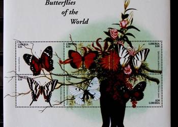 Liberia motyle 3