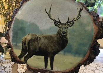 Obrazek na drewnie /jeleń