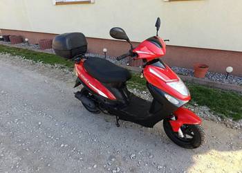 Skuter Romet Router CityLine 4 50cm 4t z roku 2018