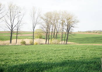 Działka rolna