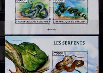 Burundi Burundi