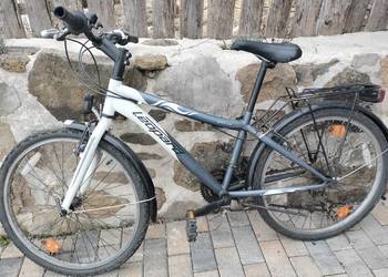 Leopard space cat biało siwy rower chłopięcy koła 24