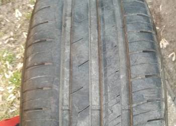 Opony letnie 195/55 R16 Dębica Presto HP 2  2024r
