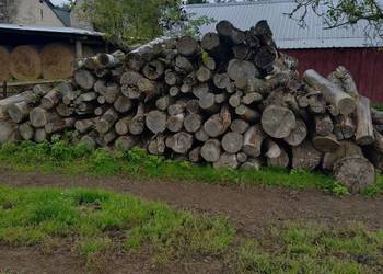 Sprzedam Drzewo drewno dąb