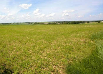 Działka 2001m2 Chmiel Pierwszy