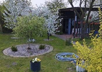 Działka Rekreacyjna (300 m2) ul. Norwida ALTANKA (Kluczbork)