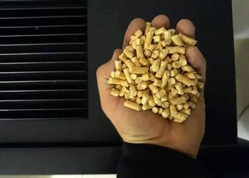 Pellet certyfikowany ENplusA1 i DINplus, pellet z gwarancją