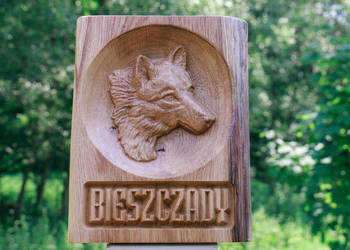 Pamiątka z Bieszczadów. . Bieszczadzki wilk
