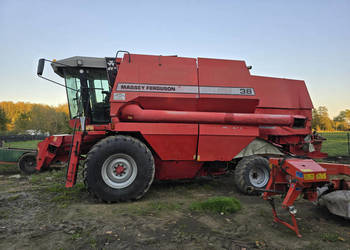 Kombajn zbożowy MASSEY FERGUSON 38 (sieczkarnia, heder 620 cm z wózkiem )