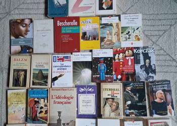 Zestaw 30 książek w języku francuskim