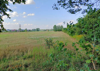 Działka 1,63 ha pod zabudowę w gm. Lubartów. Działka 1,63 ha pod zabudowę w gm. Lubartów.