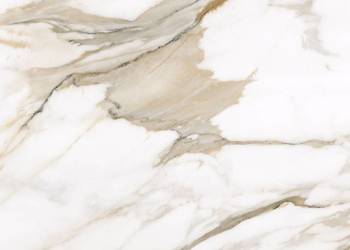 Gres Calacatta Gold satin 60x60K