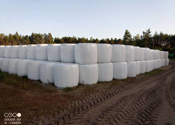 SPRZEDAM BELE SIANOKISZONKI I SIANA