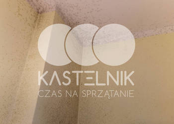 Odgrzybianie ścian Świecie - Kastelnik - Usuwanie grzybów i pleśni