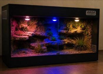 Terrarium dla żółwia greckiego agamy brodatej gekona lamparciego