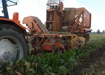 Neptun kombajn do buraków