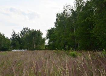 Działki 11a pod zabudowę - Rudna Mała