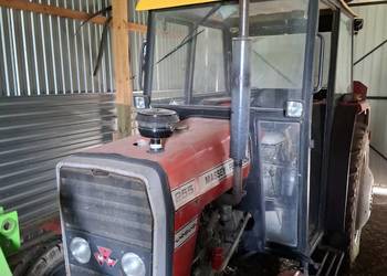 Sprzedam ciągnik ursus mf 255