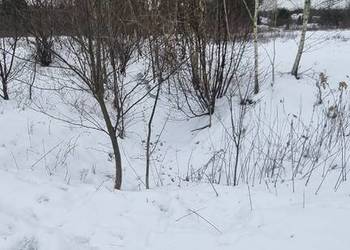 Syndyk sprzeda udział 1/3 w nieruchomości gruntowej