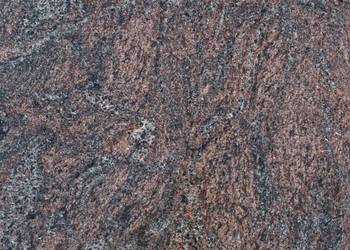 Płytki z kamienia Granit Paradiso polerowane 30,5x30,5x1 cm